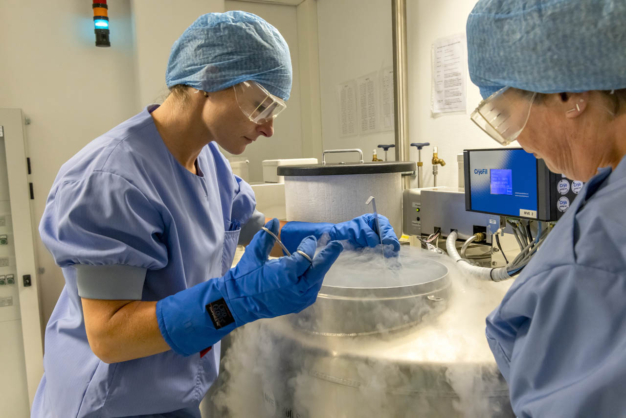 Embryologen bewaren embryo's in vriezer