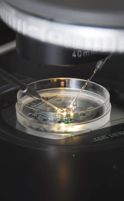Bevruchting eicel door zaadcel in het ivf-lab in kader van PGT-behandeling
